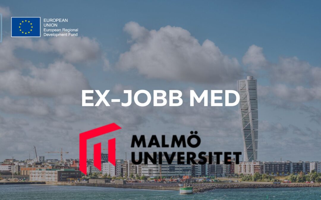 AI-exjobb med Malmö Universitet